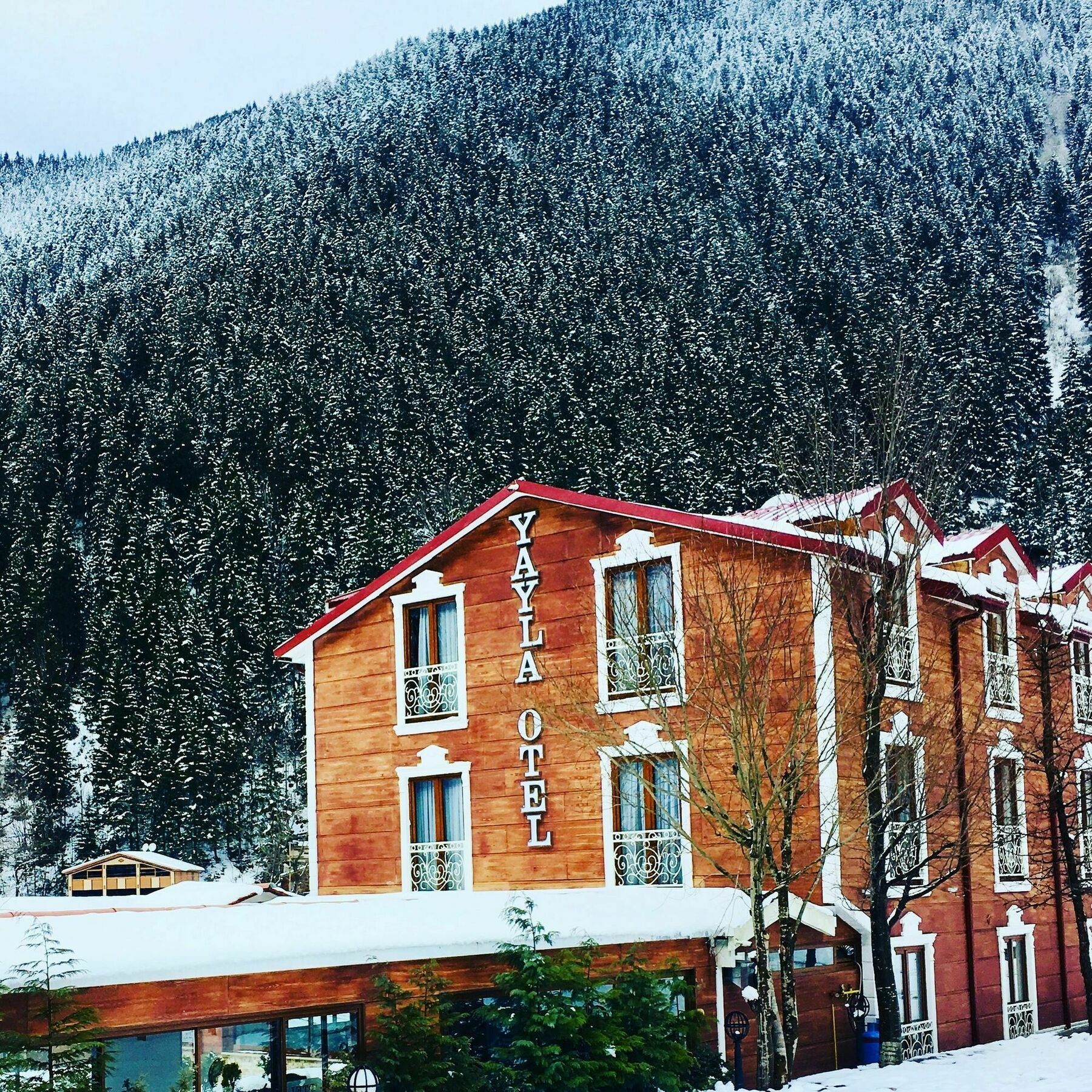 Yayla Готель 4*